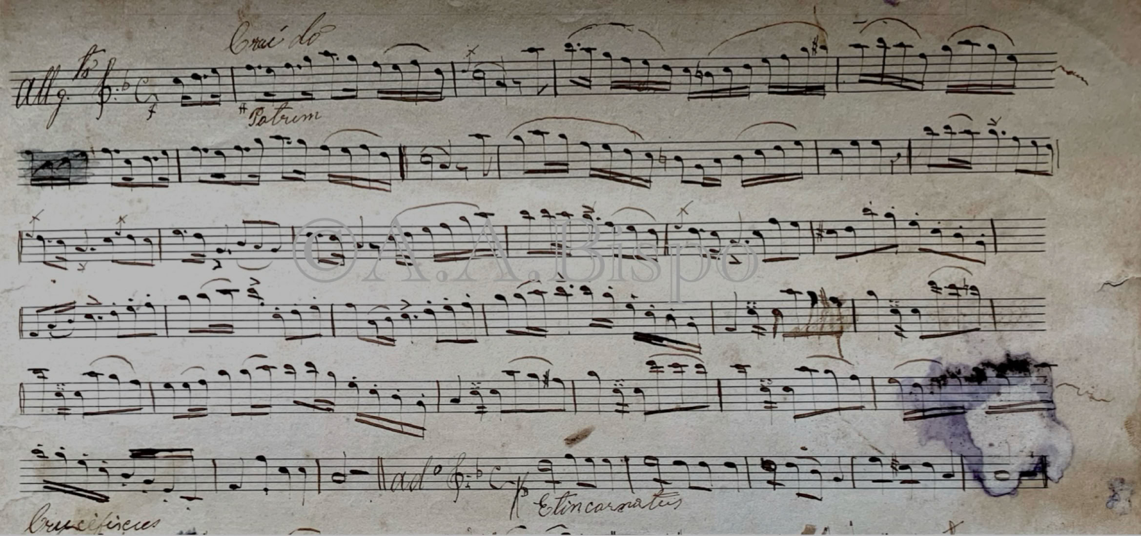 Credo composto por J. Romão da Silva Prado, cantado em Jundiaí e Pirapora do Bom Jesus no século XIX